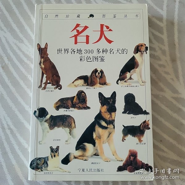 名犬：全世界300多种名犬的彩色图鉴