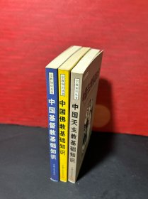 【宗教知识丛书，3册合售】中国佛教基础知识、中国天主教基础知识、中国基督教基础知识