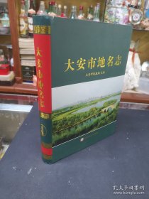 大安市地名志