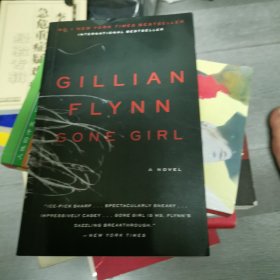 Gone Girl: A Novel消失的爱人 英文原版（6-1）