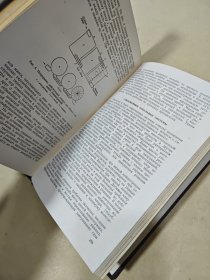 化学纸浆的漂白【俄文版】