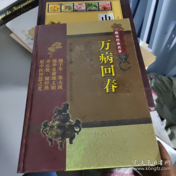 中医非物质文化遗产临床经典名著：万病回春