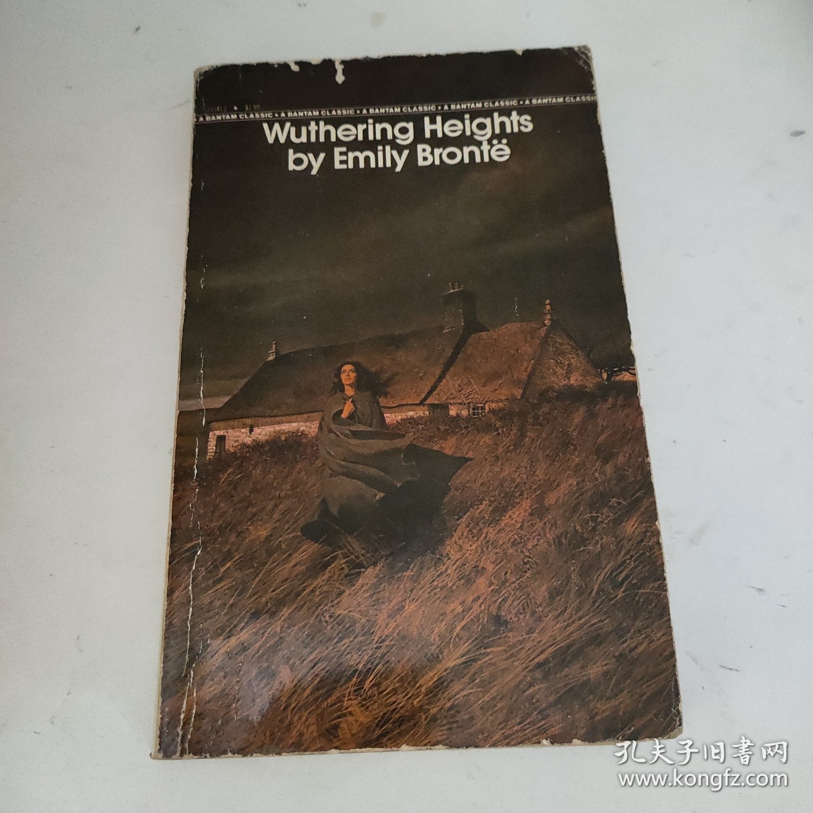 wuthering heights by Emily bronte