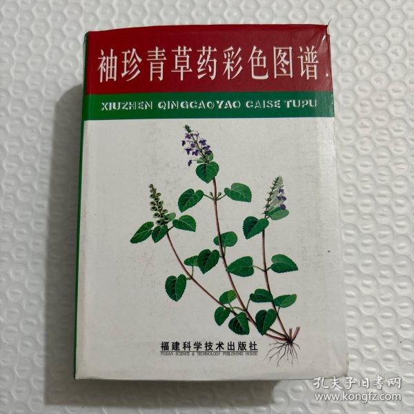 袖珍青草药彩色图谱