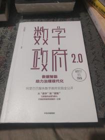 数字政府2.0：数据智能助力治理现代化