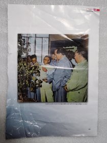 毛主席1958年在安徽省博物馆参观陈列的巢县黄麓公社棉花 江泽民总书记1991年视察巢湖