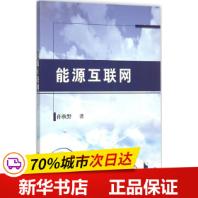 全新正版！能源互联网孙秋野 著9787030457110科学出版社