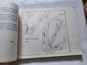 树石画法张继馨编绘天津杨柳青画社编辑1981年一印，品相如图，完好，是一本不错的资料书。