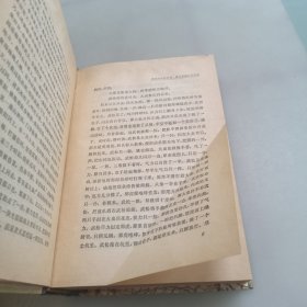 金瓶梅词话（上下册）