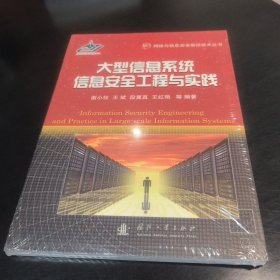 网络与信息安全前沿技术丛书：大型信息系统信息安全工程与实践