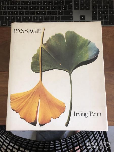 Irving penn passage A Work Record
