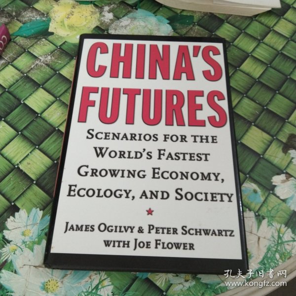 CHINA,S FUTURES 9780787950026 正版无笔迹