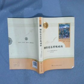 统编语文教材配套阅读 八年级下：钢铁是怎样炼成的/名著阅读课程化丛书