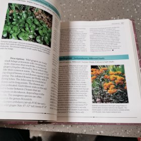 英文原版RODALE'S ILLUSTRATED ENCYCLOPEDIA OF PERENNIALS罗代尔的多年生植物插图百科全书