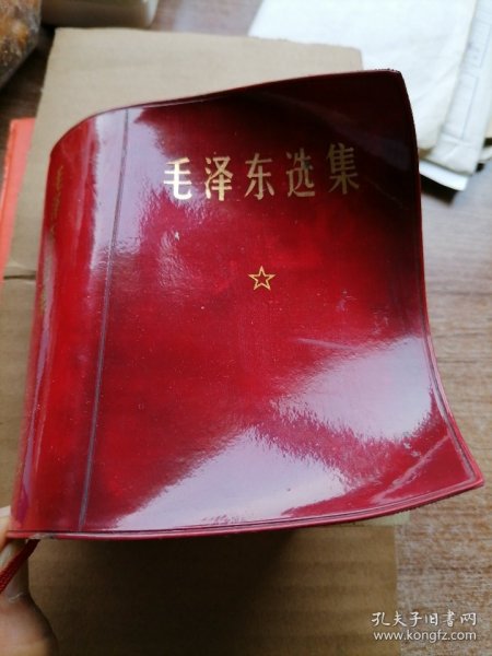 毛泽东选集（一卷本）