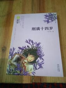 中国儿童文学经典书系：刚满十四岁
