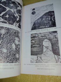 斯提耳沃特杂岩体超镁带