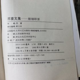 苏童文集一婚姻即景