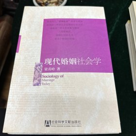 现代婚姻社会学