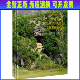 中原地区晚更新世古人类文化发展研究 王幼平//顾万发//夏正楷//张俊娜//何嘉宁等 科学出版社