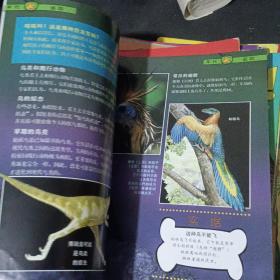 恐龙：揭开史前世界巨大动物的奥秘1-22册（22本合售）