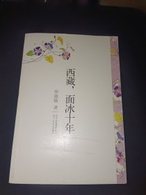 西藏，面冰十年