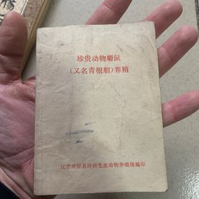 珍贵动物麝鼠养殖（辽宁省