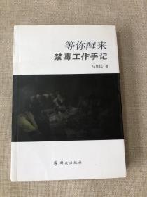 等你醒来：禁毒工作手记