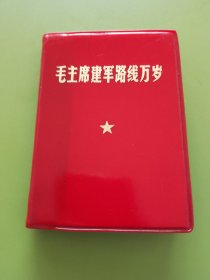 毛主席建军路线万岁----扉页毛主席彩军照片、四伟大题词手书，毛主席和彪子彩色照片（较少见），毛主席语录、题词手迹，彪子题词手书2幅。1969年8月北京（100开）印本。