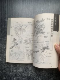 图解微型盆景栽培.4：杜松.枫树（馆藏书）