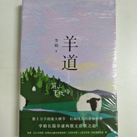 羊道·前山夏牧场