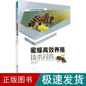 蜜蜂高效养殖技术问答