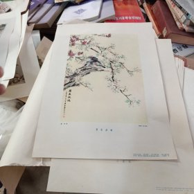 梨花纹鸠【1956年印/尺寸77.5*53.5厘米/晏平 绘】八开