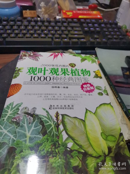 观叶观果植物1000种经典图鉴（超值白金版）