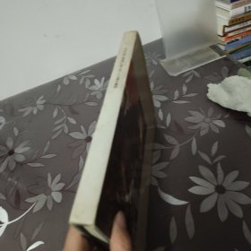 北京中药纪念同仁堂三百一十五周年画集 精装