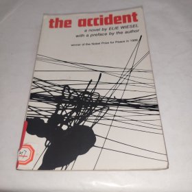 The Accident / Wiesel 威赛尔
