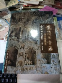 龙门二十品：北魏碑刻造像聚珍（16开精装图册） 私藏品佳