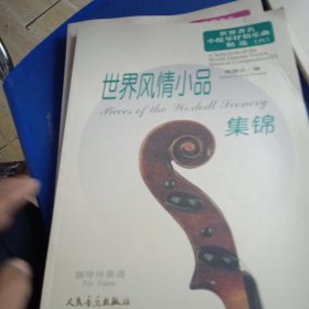世界著名小提琴抒情乐曲精选6：世界风情小品集锦