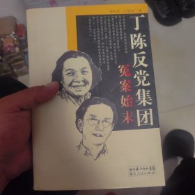 丁陈反党集团冤案始末