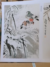 正版现货 荣宝斋画谱（218）：花鸟部分孙其峰