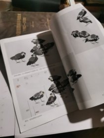 中国画自学丛书-----怎样画鹭鸶八哥
