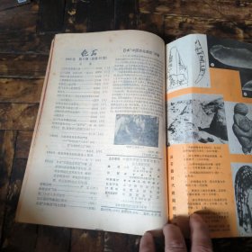 化石1982年1~4期（季刊，全年合售）