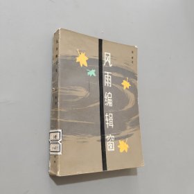 风雨编辑窗