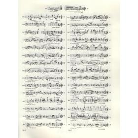 肖邦作品全集·10 马祖卡舞曲 西洋音乐 帕德雷夫斯基 编 谢丽霜,单良 译