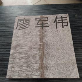 廖军伟 栉系列 画册