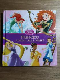 Princess Adventure Stories