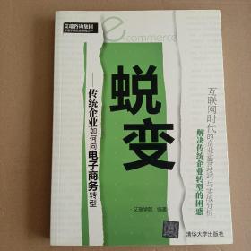 蜕变：传统企业如何向电子商务转型