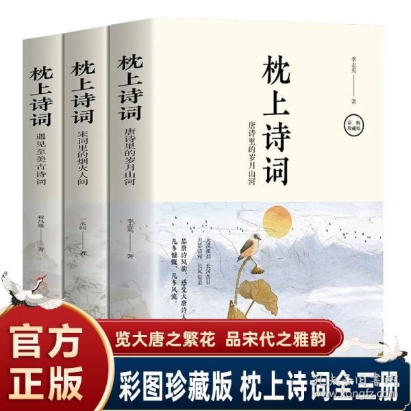 全套3册 枕上诗词书 一诗一词念红尘一字一句品人生领略古诗词之美排解当下的忧愁与焦虑提升文化气质与内涵中国古诗词阅读书籍