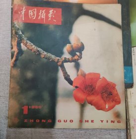 中国摄影（1980……1）