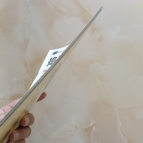 捣蛋猫爱编程-什么是漏洞